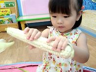 🌽옥수수를 탐..