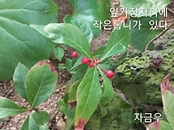 2025.12.02 들꽃연구회 1..