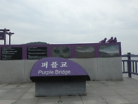 신안 퍼플교(은좌도-박지도..