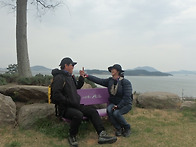 신안 퍼를교(은좌도-박지도..