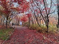 251125(화)/아차산트레킹