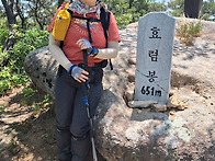 효렴봉