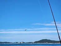1st 선상낚시