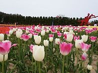 청마산악회 제99차 정기산..