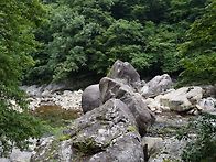청마 산악회 제80차 정기산..