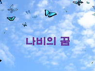 나비의 비상 2026.5.17
