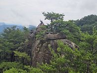 영월 구봉대산