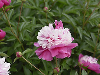 2024년 5월 정기..