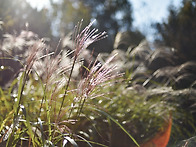 2024년 11월 정기..