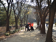 2024년 11월 정기..