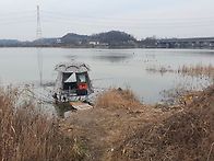 집앞또랑독조