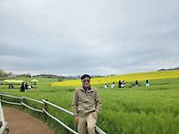 고창 청보리밭,고창운곡 ..