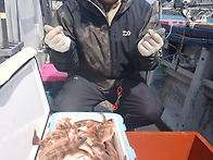 [ 진도보디가드호..