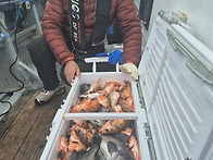 [ 대물을 잡는 선상낚시 ..