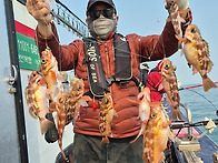 [ 진도보디가드호..