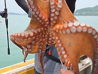 [보디가드호 ] #..