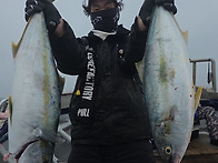 [ 진도보디가드호..