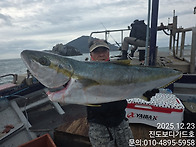 [ 진도보디가드호..