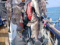 [ 진도보디가드호..