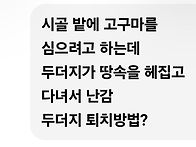 두더지 퇴치법