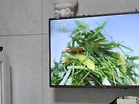 면역력밥상
