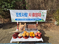 ♧2월 시촬영제 강화함허동..