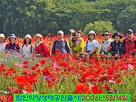 ♧함안 악양생태공원출사(..