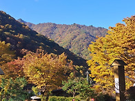 2024년 지리산 와운마을 ..
