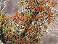 불금~~오늘 하루도..