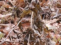 하얀 금요일~~불금..