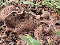 내얼굴보다 더큰 ..