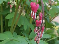 새로운 한주의 시..