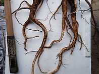 건강한 주말 보내..