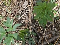 산마트 다녀왔네요