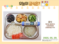 2025년 5월 29..