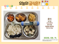 2026년 8월 11..