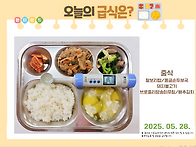 2025년 5월 28..