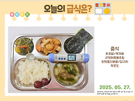 2025년 5월 27..