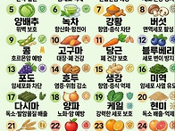 과학적으로 입증된 항암 ..