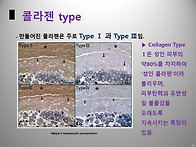 라이펜이 오래간다는 것이..