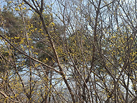 26.03,17(화) 순수산행 시..