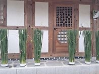 홍콩 꽃꽂이 워크샵