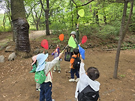 5월 1주 유아숲자