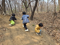 3월 4주 유아숲자