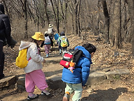 3월 3주 유아 숲자