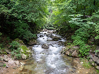 숙제(ND)치악산,백화산