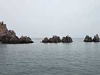 홍도 여행