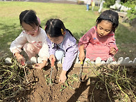 &#129372;땅콩이 자랐어요&#129372;