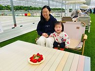 즐거운반 - 딸기따기체험