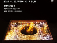 [세종] 제13회 김..